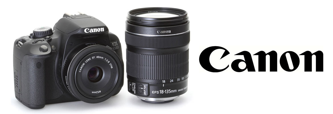 canon cameras